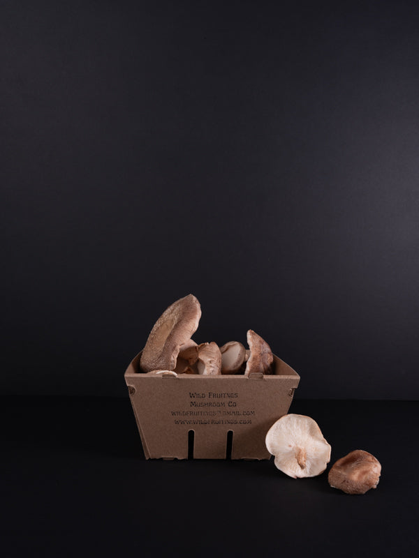 Wild Fruitings Shitake Mushrooms