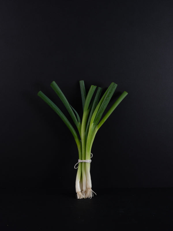 Scallions (1 bunch)