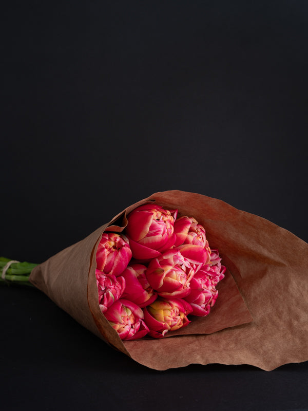 Tulips, Locally Grown