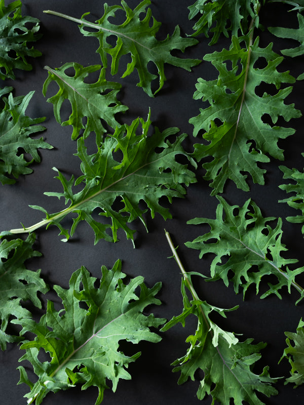 Baby Kale (6oz)