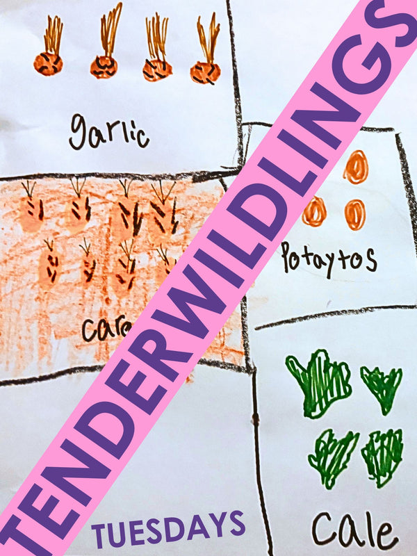 Tuesdays at 10am / 5 Week Session