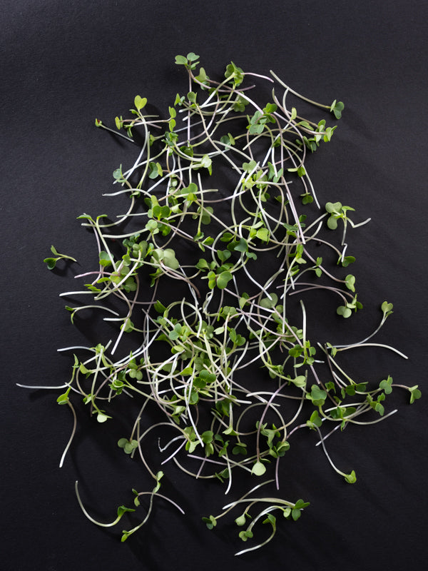 Microgreens (1.5 oz)