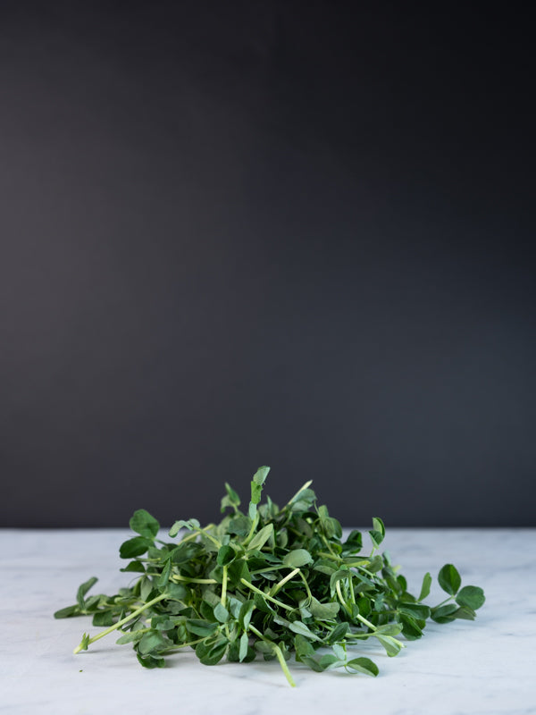 Pea Shoots (2.5 oz)