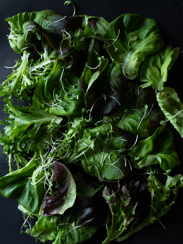 Tenderwild Mix (6oz)