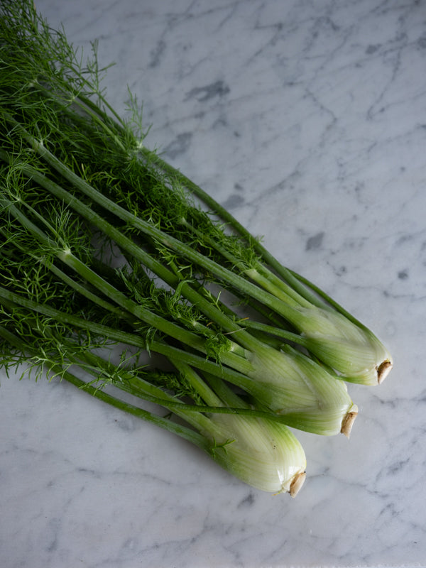 Fennel (1 bunch)