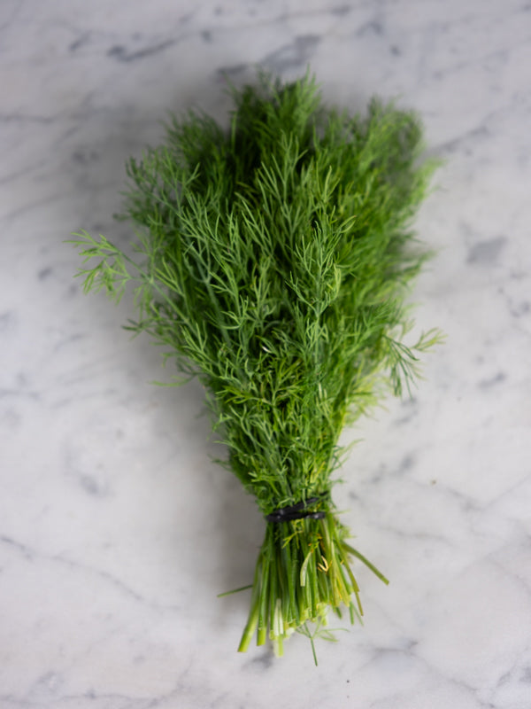 Dill (1 bunch)