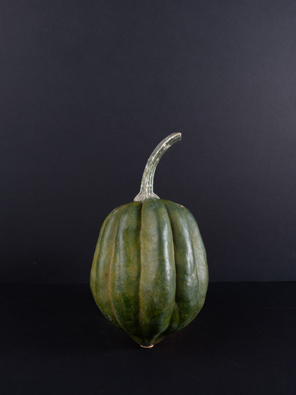 Acorn Squash (Medium - 2lbs)