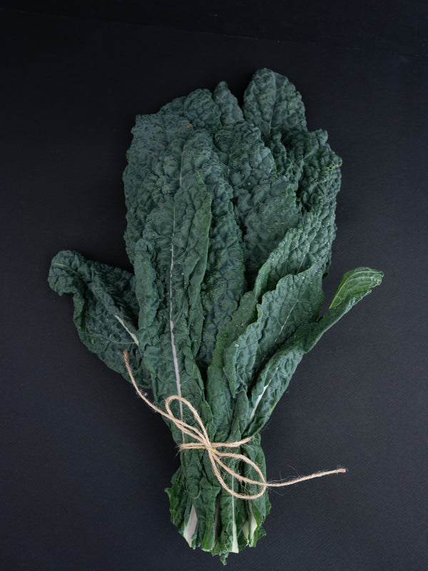 Lacinato Kale (1 bunch)