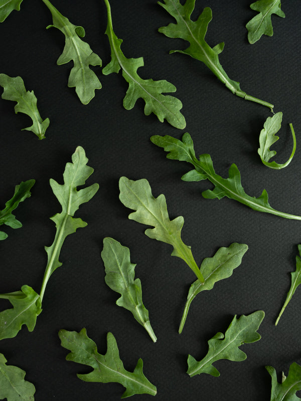 Arugula (6 oz)