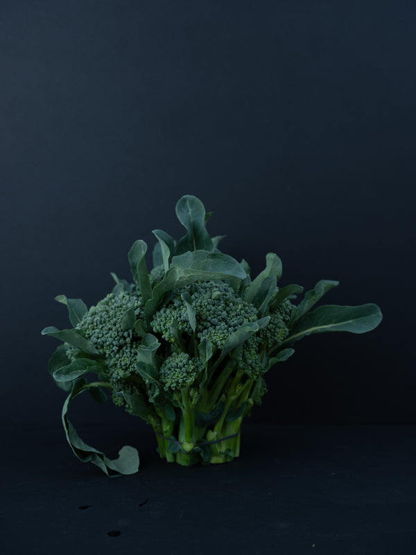 Broccolini (1 bunch)