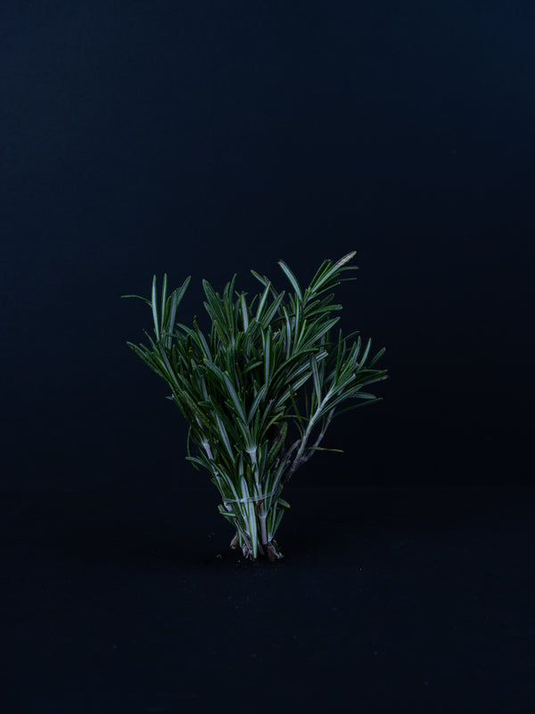 Rosemary (1 bunch)
