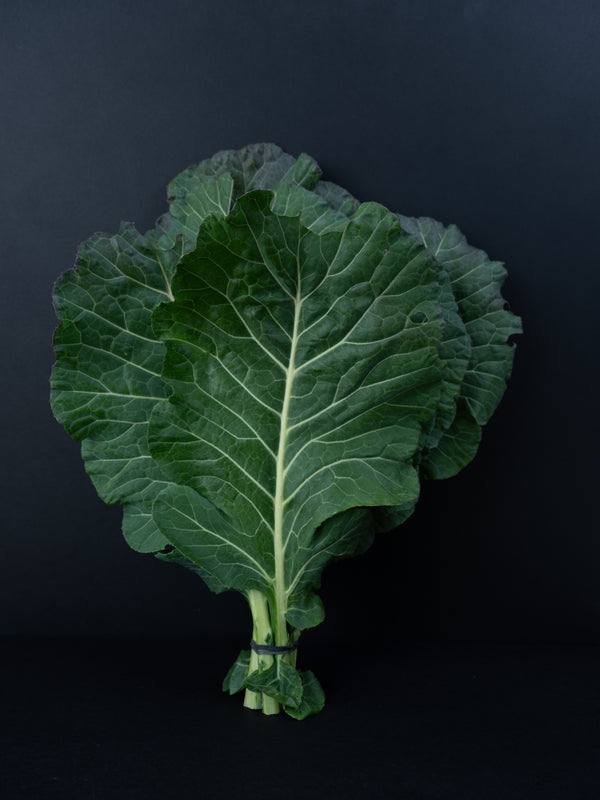 Collards (1 bunch)
