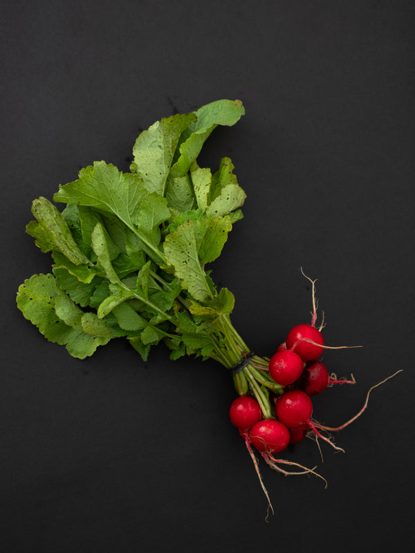 Radish, Red (1 bunch)