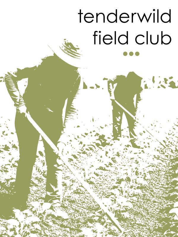 Tenderwild Field Club - June 12 @ 1:30