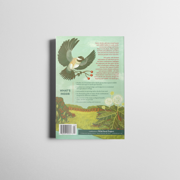 Wild Seed Project Native Shrubs for Northeast Landscapes