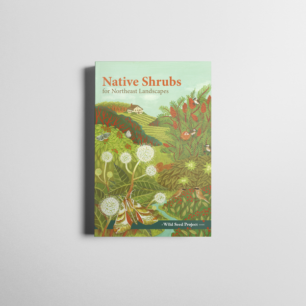 Wild Seed Project Native Shrubs for Northeast Landscapes