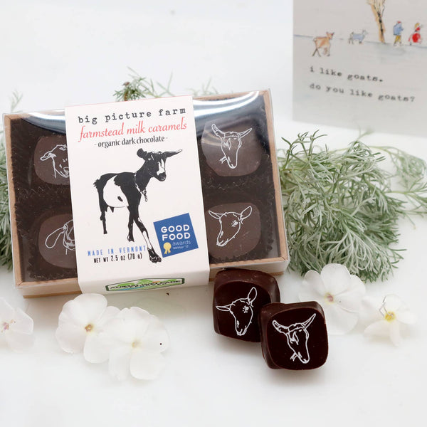 Big Picture Farm, Chocolate-Covered Goat Milk Caramels, 2.5 oz.