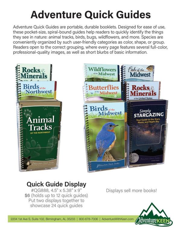 Butterflies of Northeast Quick Guide