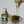 SHUUG  Hot Sauce 