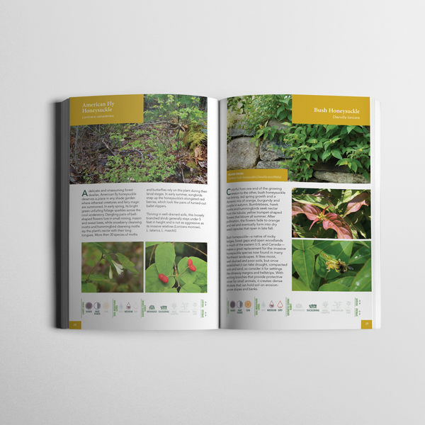 Wild Seed Project Native Shrubs for Northeast Landscapes