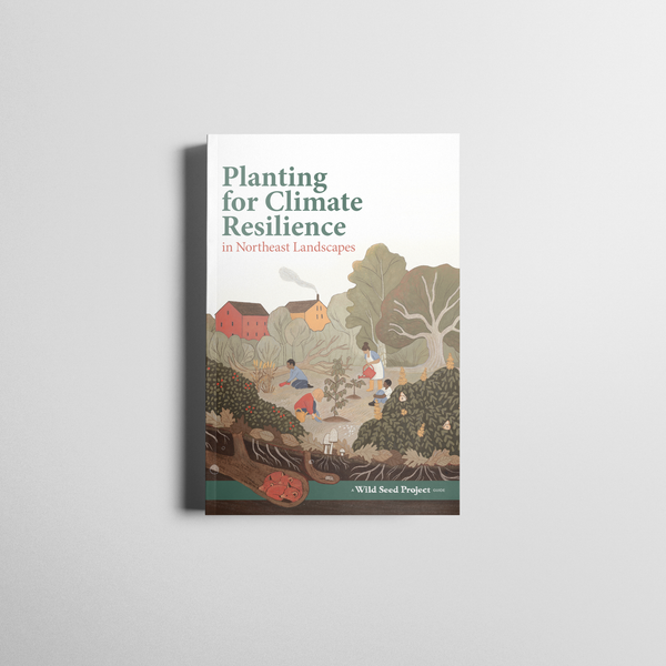 Planting for Climate Resilience in Northeast Landscapes