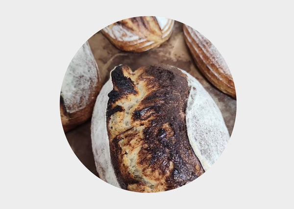 Demetra Roasted Garlic Sourdough