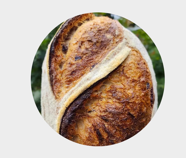 Demetra Rosemary & Olive Sourdough