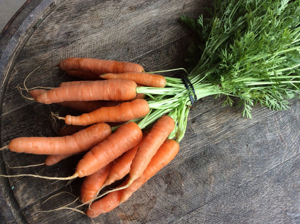 Fresh Carrots (Bunch)