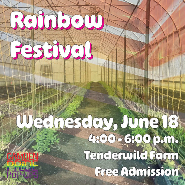 Wednesday June 18 at 4pm