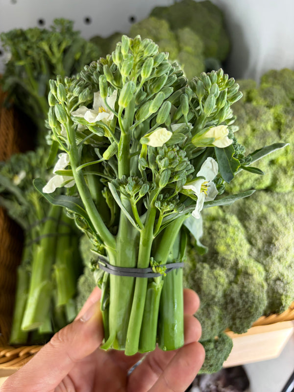 Broccolini, Stonecipher OG (bunch)