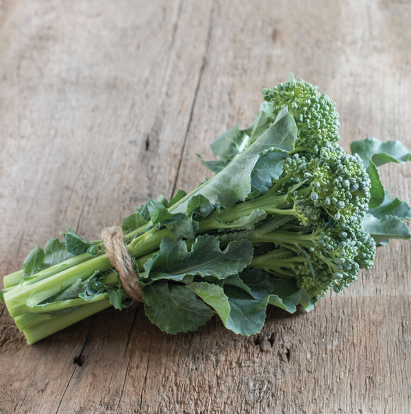 Broccolini, 4 pack