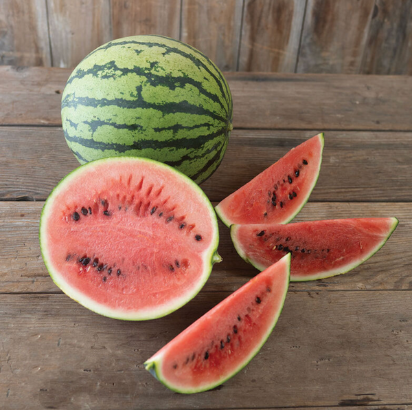 Watermelon, Starlight, 3" pot