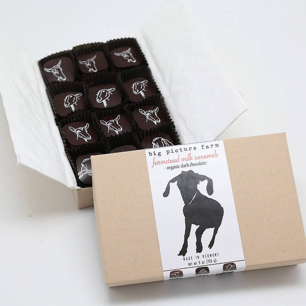 Big Picture Farm, Chocolate-Covered Goat Milk Caramels, 2.5 oz.