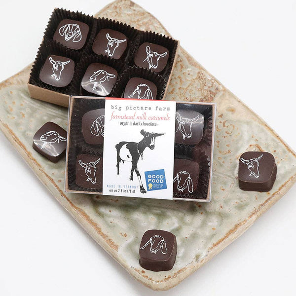 Big Picture Farm, Chocolate-Covered Goat Milk Caramels, 2.5 oz.