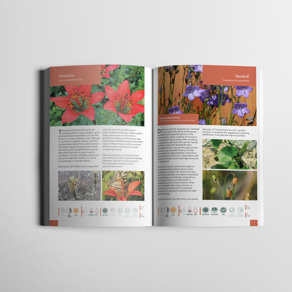 Planting for Climate Resilience in Northeast Landscapes